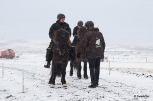 Kaldbakur Tour 2015 (22)